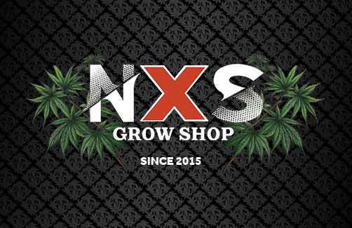 Pronto intervento in 48 ore